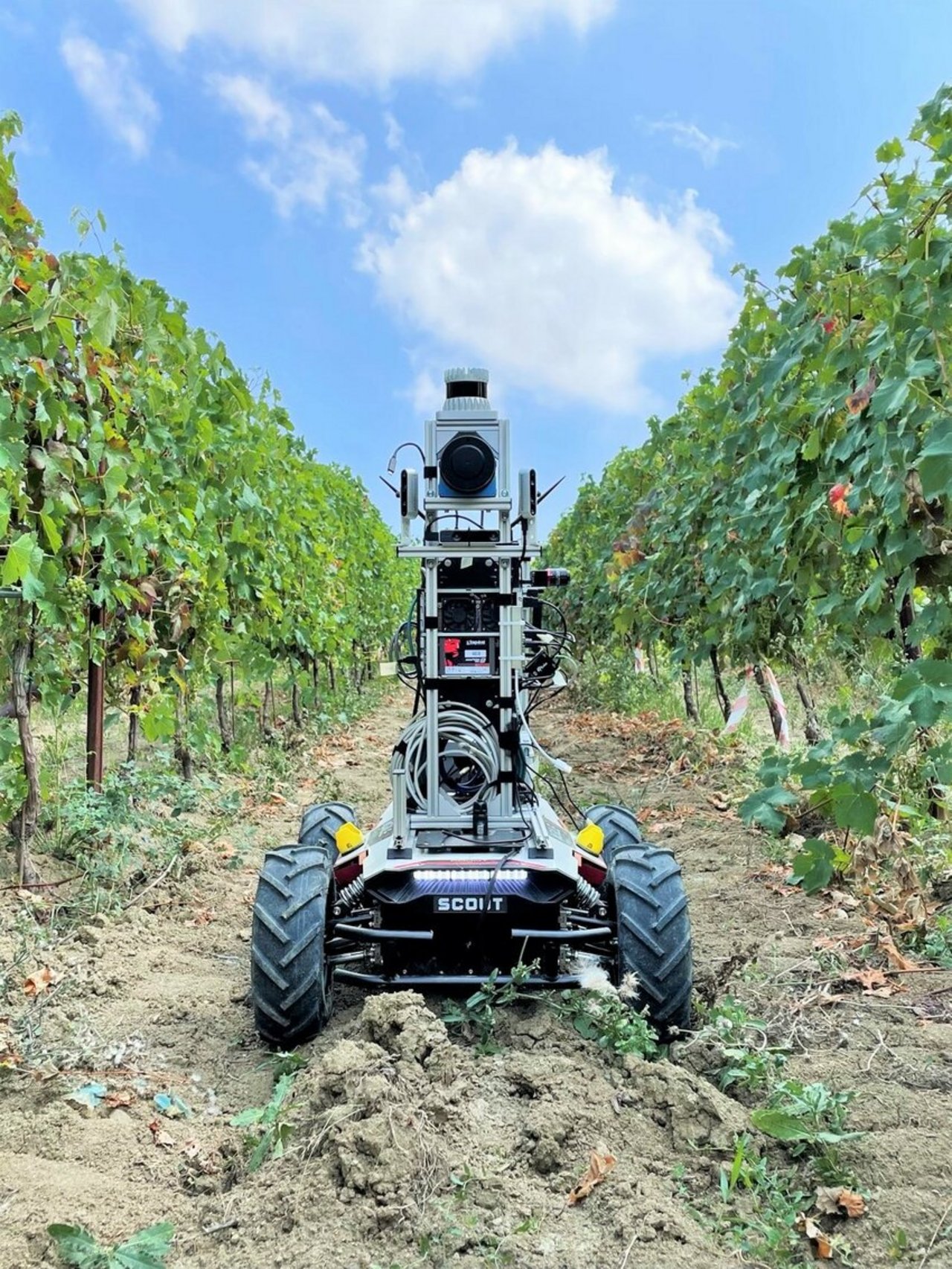 Robotic platform navigating a vineyard