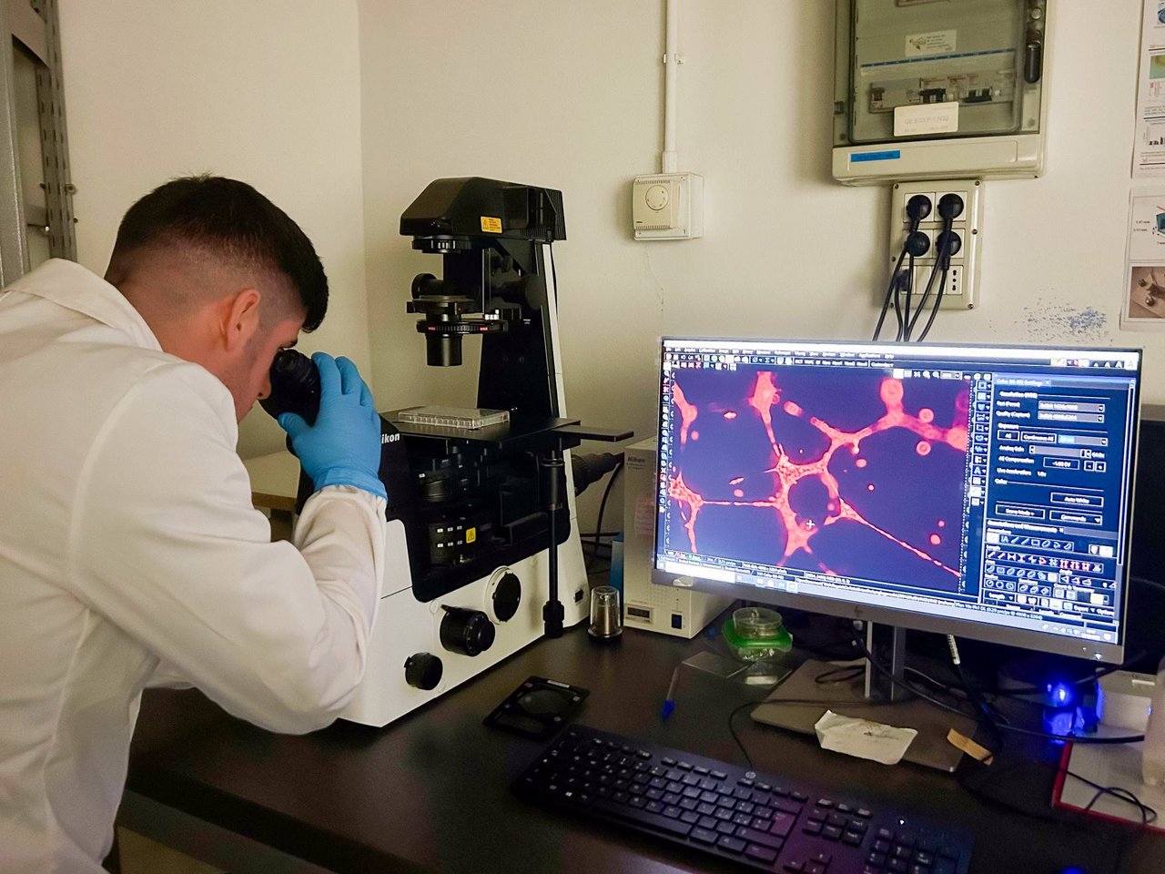 Ricercatore al microscopio