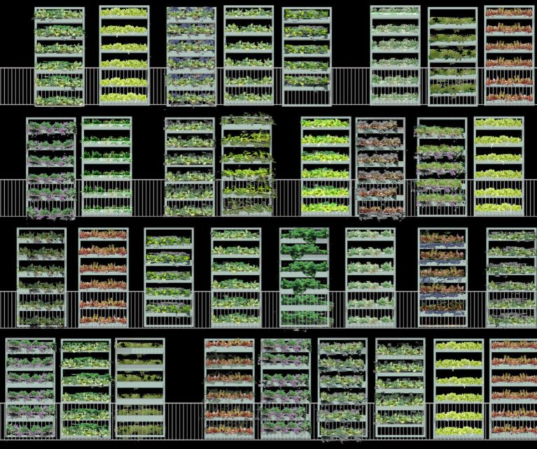 Scenario architettonico