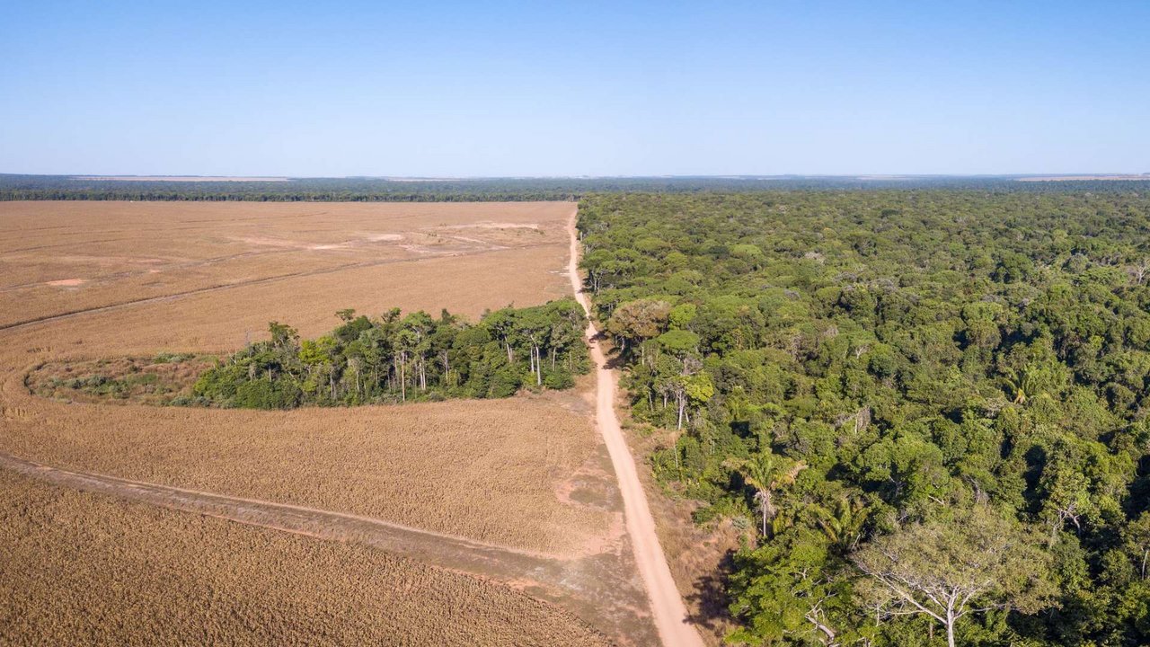 Vista aerea panoramica del drone della deforestazione illegale dell'Amazzonia, Mato Grosso, Brasile. Alberi forestali e terreni agricoli