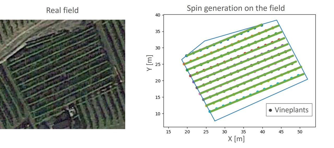 Reproduction of a vineyard field through satellite images