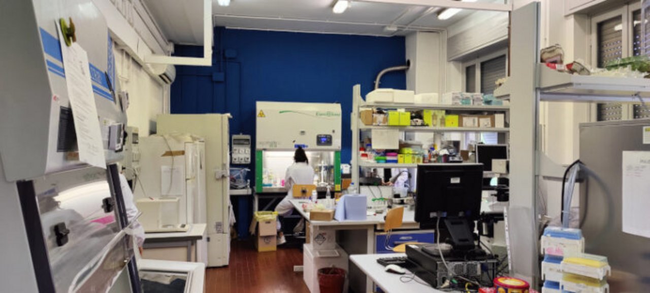 The Mechanobiology Lab